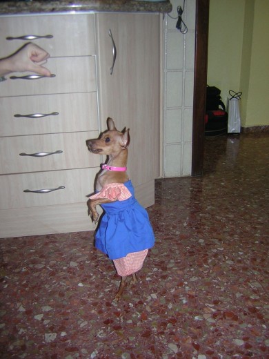 Haciendo "pinitos"